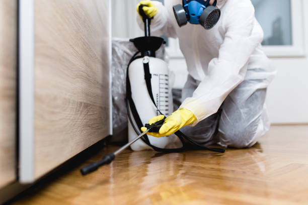 Best Ant Control Services  in Aledo, IL