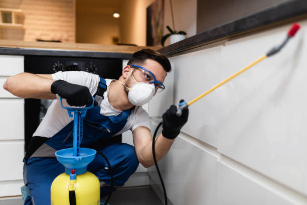 Best Local Pest Control Services  in Aledo, IL