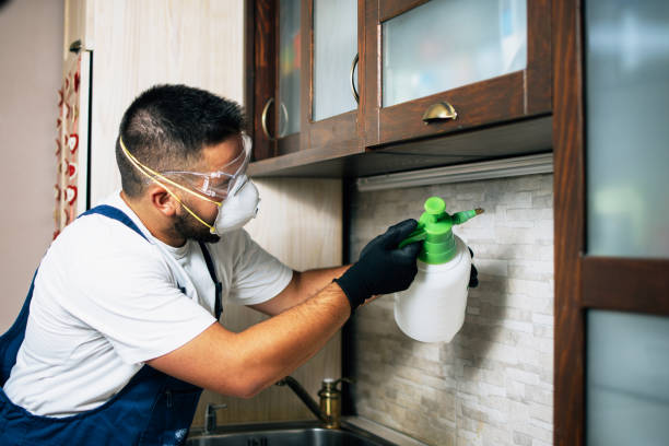 Best Pest Prevention Services  in Aledo, IL