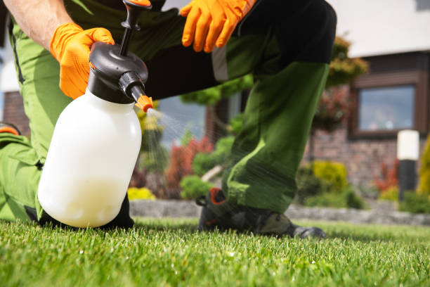 Best Pest Control Near Me  in Aledo, IL