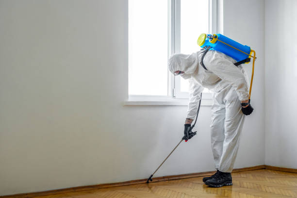 Best Exterminator Services  in Aledo, IL