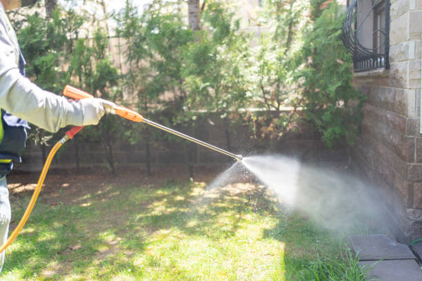 Best Emergency Pest Control  in Aledo, IL
