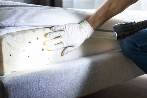 Best Flea Control Services  in Aledo, IL