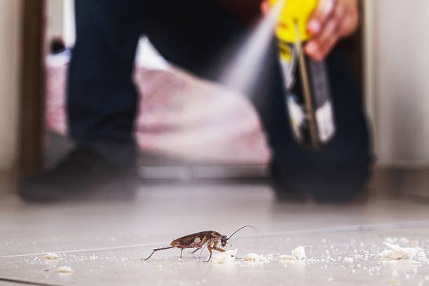 Best Commercial Pest Control Services  in Aledo, IL