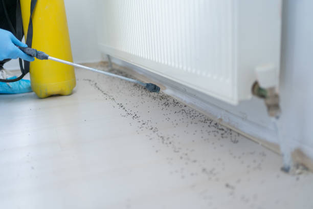 Pest Prevention Services in Aledo, IL
