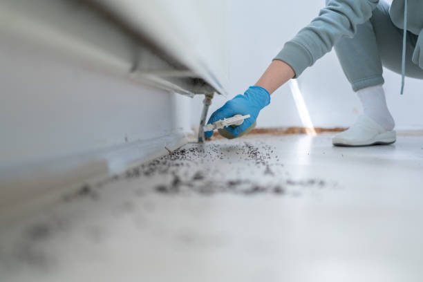 Best Best Pest Control Companies  in Aledo, IL